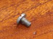 画像2: ABU 4000/5000/6000番★☆★Handle Retaining Screw★☆★ (2)